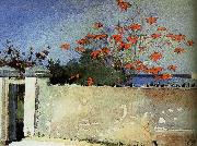 Wall, Winslow Homer